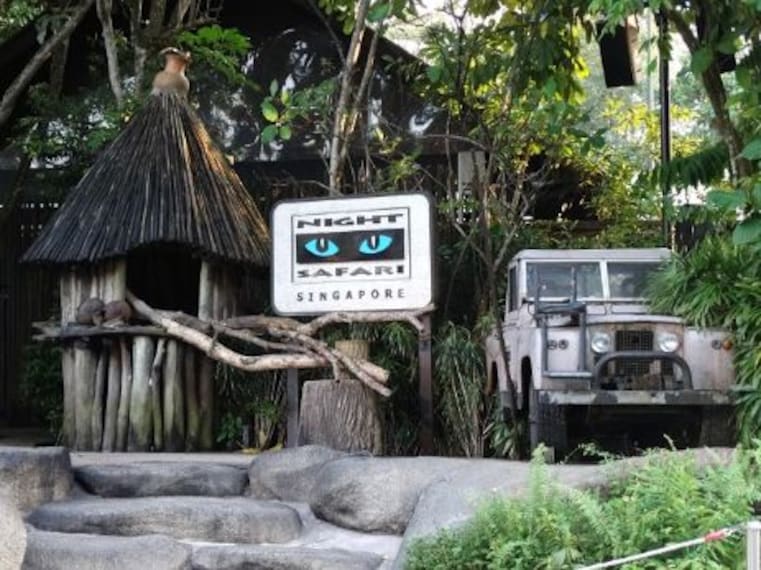 Night Safari_5